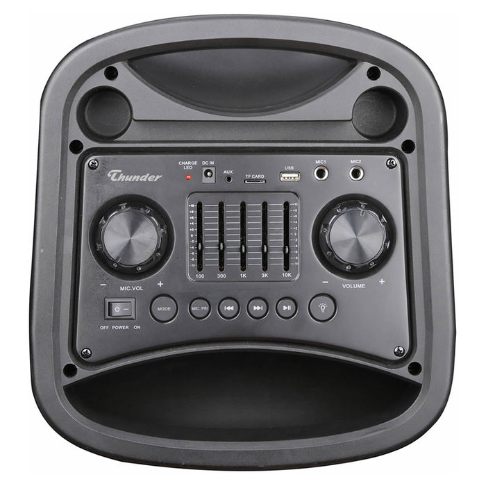 Аудио система THUNDER THS-B1021