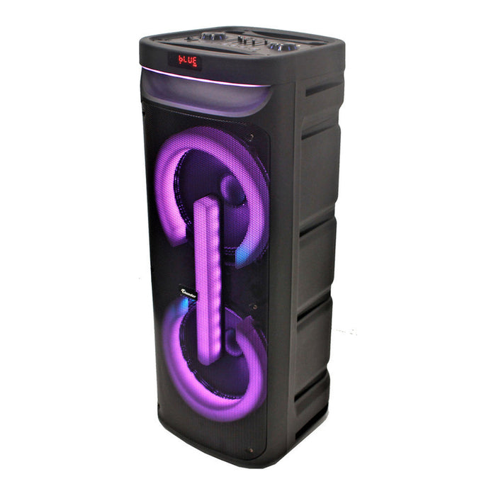 Аудио система THUNDER THS-B1021