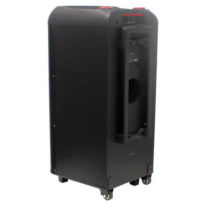 Аудио система THUNDER THS-B1280