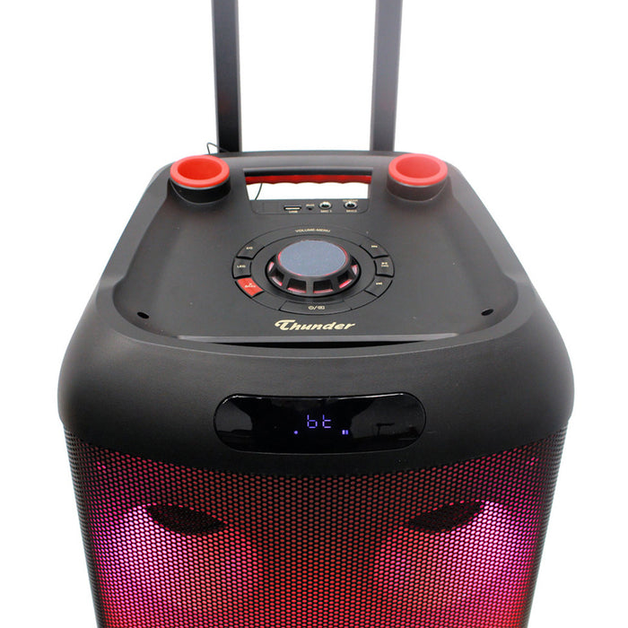 Аудио система THUNDER THS-B1280