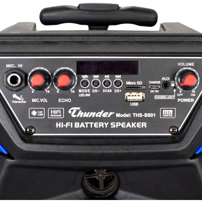 Аудио система THUNDER THS-B801