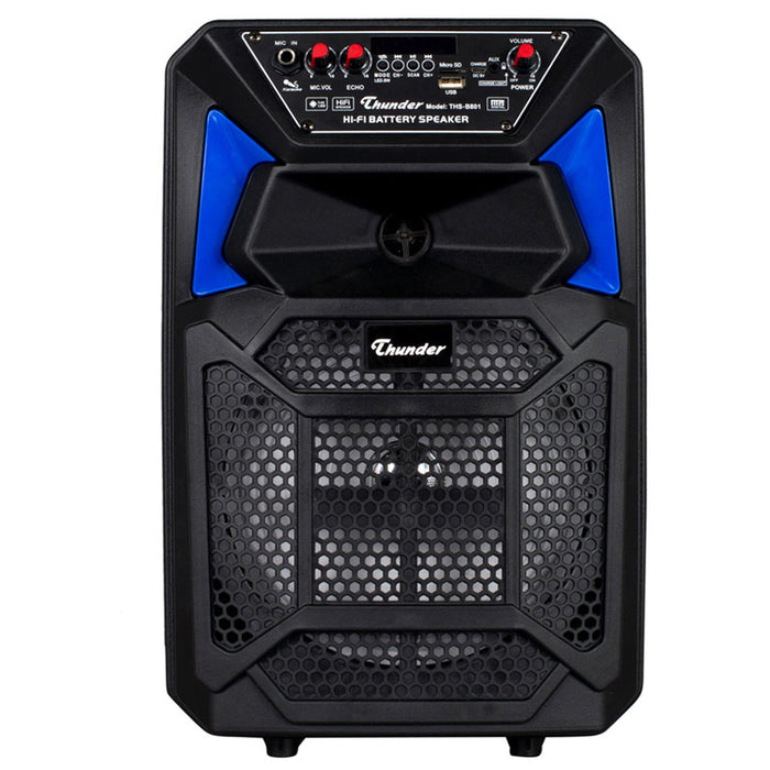 Аудио система THUNDER THS-B801