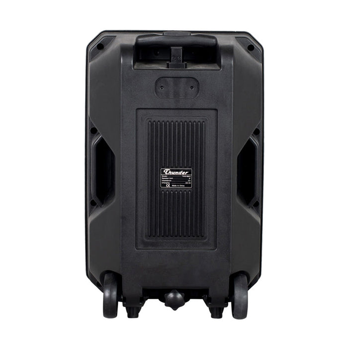 Аудио система THUNDER THS-B801