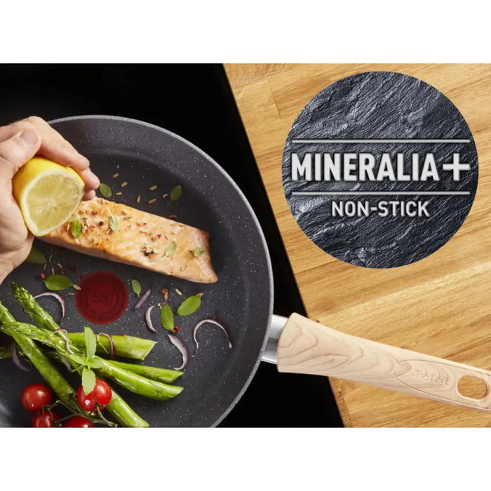 ТИГАН 24 CM NATURAL FORCE TEFAL