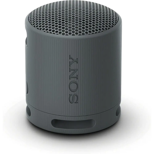 Тонколони Sony SRS-XB100 Portable Bluetooth Speaker black