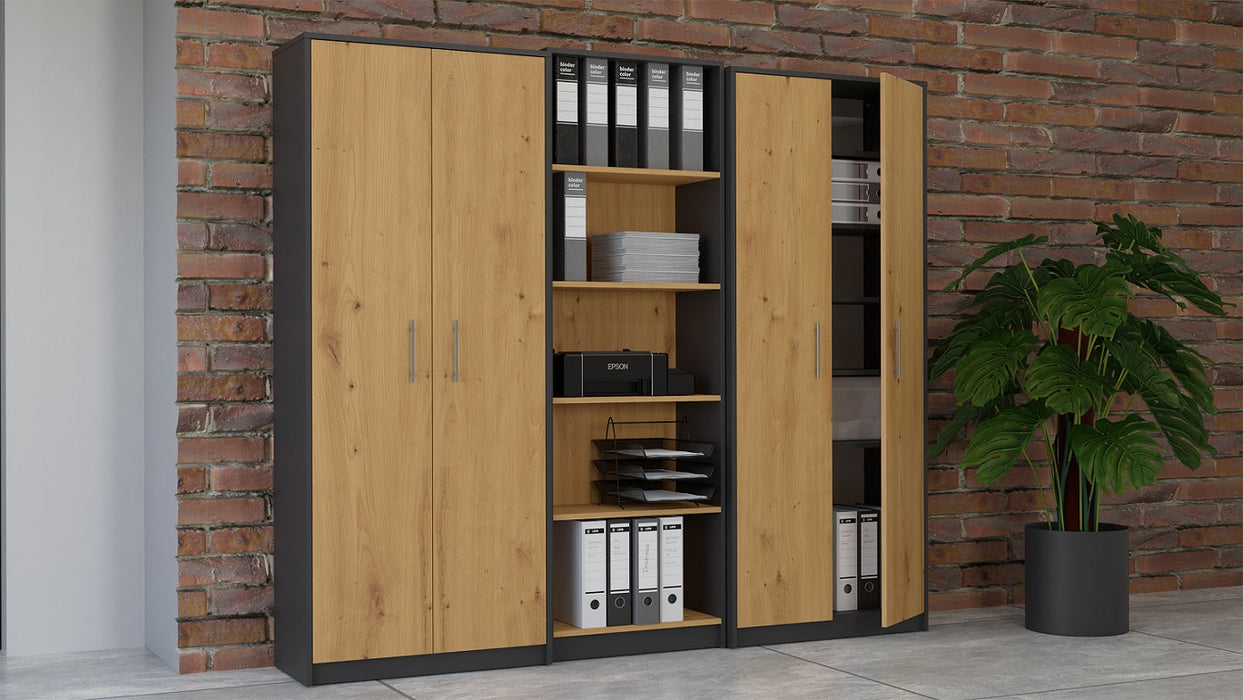 Topeshop OLIV 2D ANT/ART KPL офис библиотека