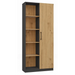 Topeshop RD-80 ANT/ART KPL офис библиотека