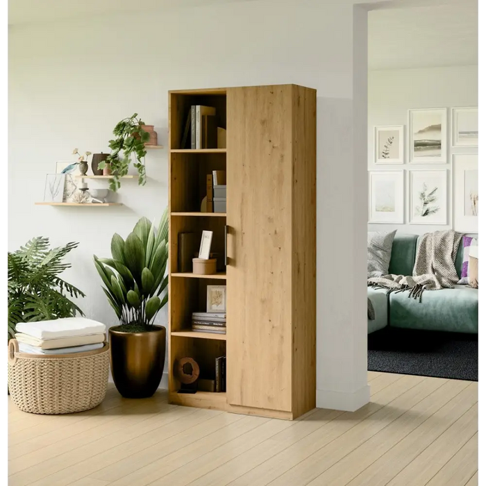 Topeshop RD-80 ARTISAN KPL офис библиотека