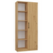 Topeshop RD-80 ARTISAN KPL офис библиотека