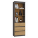 Topeshop RS-60 ANT/ART KPL офис библиотека