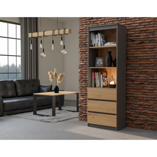 Topeshop RS-60 ANT/ART KPL офис библиотека