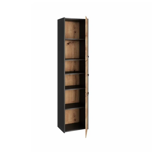 Topeshop S43 ANTRACYT/ARTISAN офис библиотека