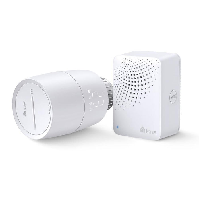 СМАРТ ТЕРМОГЛАВИ TP-LINK KE100 KIT