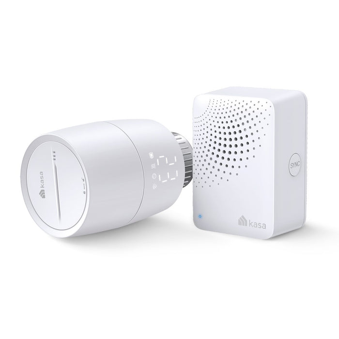 СМАРТ ТЕРМОГЛАВИ TP-LINK KE100 KIT