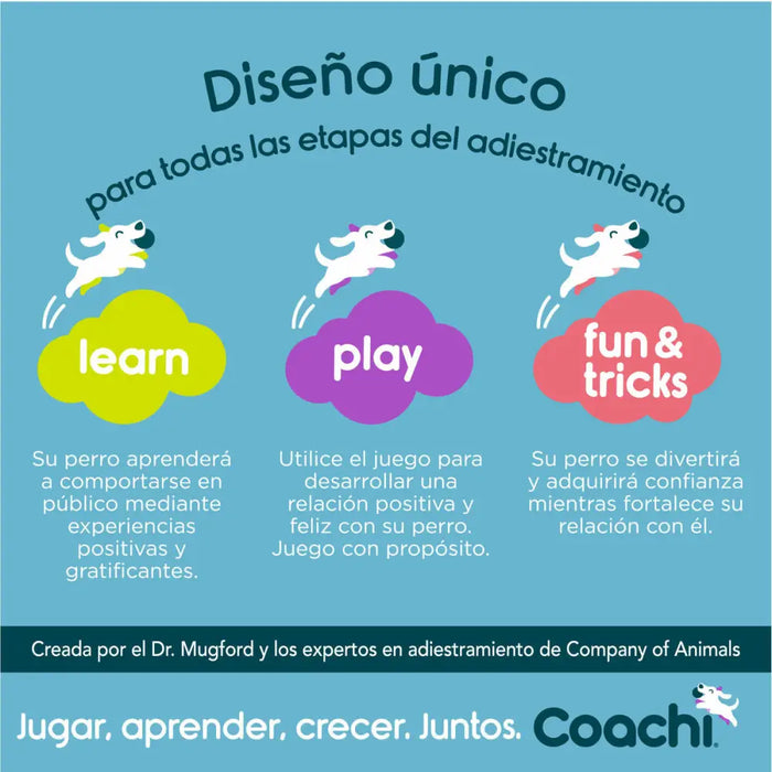 Training toy Coachi CHASE & CRINKLE Син