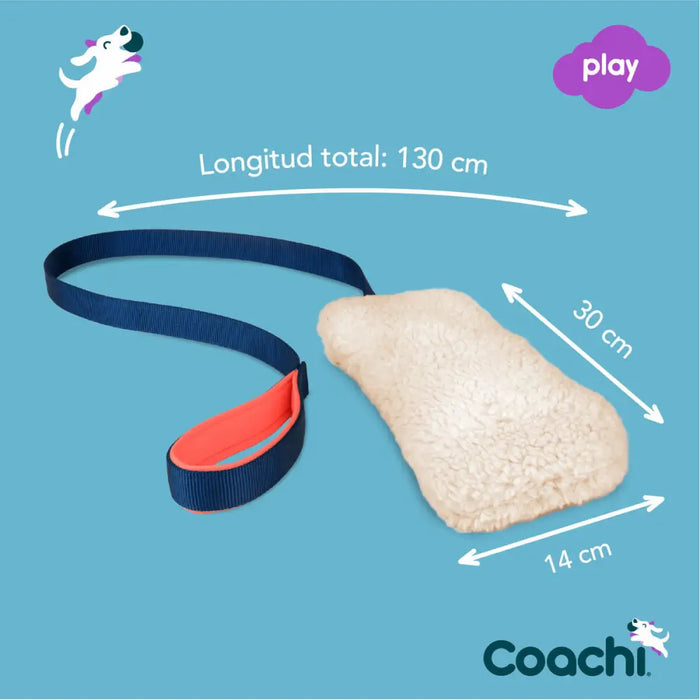 Training toy Coachi CHASE & CRINKLE Син