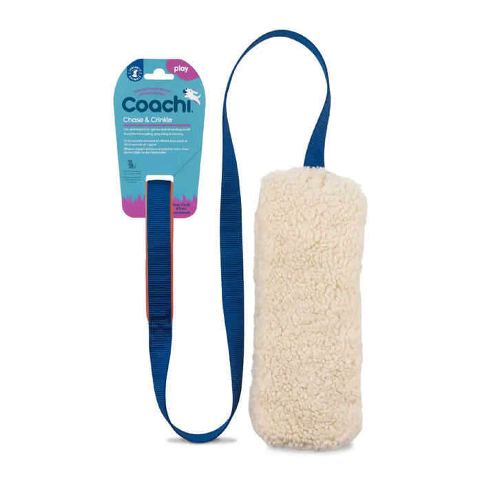 Training toy Coachi CHASE & CRINKLE Син