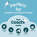 Training toy Coachi TRAINING DUMMY Син
