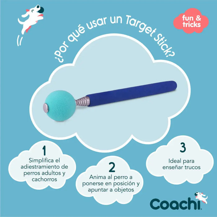 Training toy Coachi Stick Син