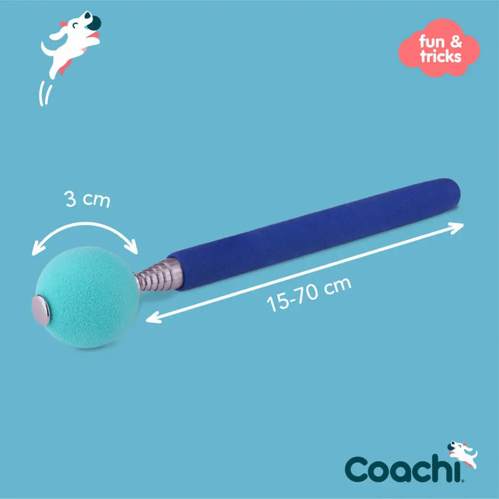 Training toy Coachi Stick Син