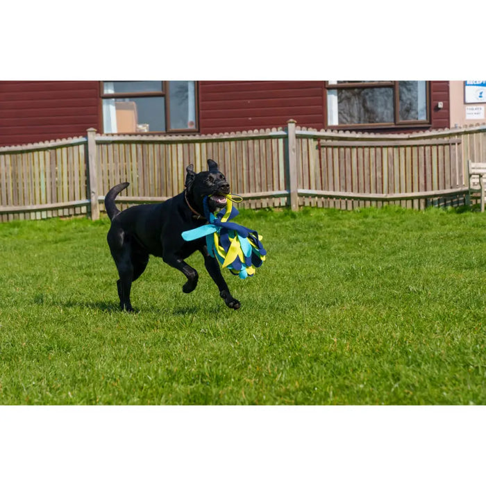 Training toy Coachi TUGGI SPIDER Син