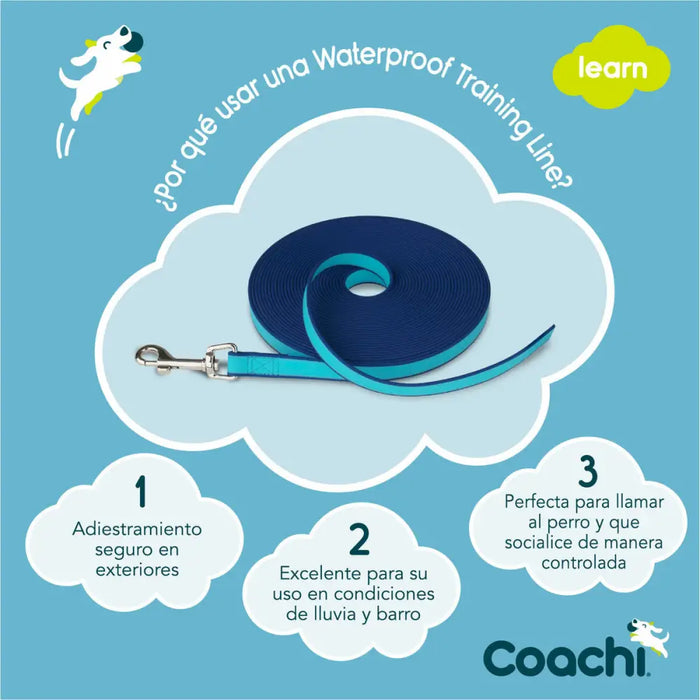 Тренировъчен колан Coachi Син Тренировка