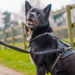 Тренировъчен колан Company of Animals HALTI BRIG SAFETY