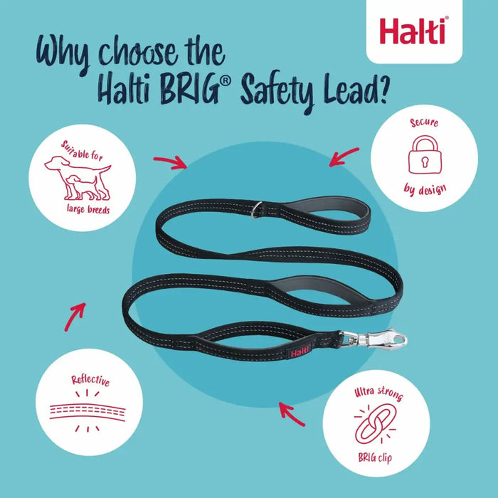 Тренировъчен колан Company of Animals HALTI BRIG SAFETY