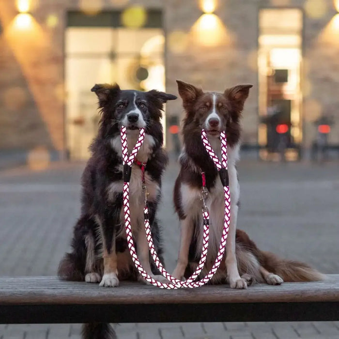 Тренировъчна яка Trixie Cavo Графит Azul Océano M/L 43-51 cm