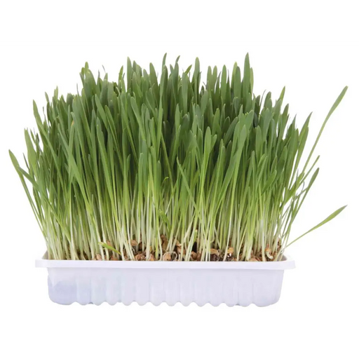 TRIXIE 4235 Лакомство за кучета/котки 100гр