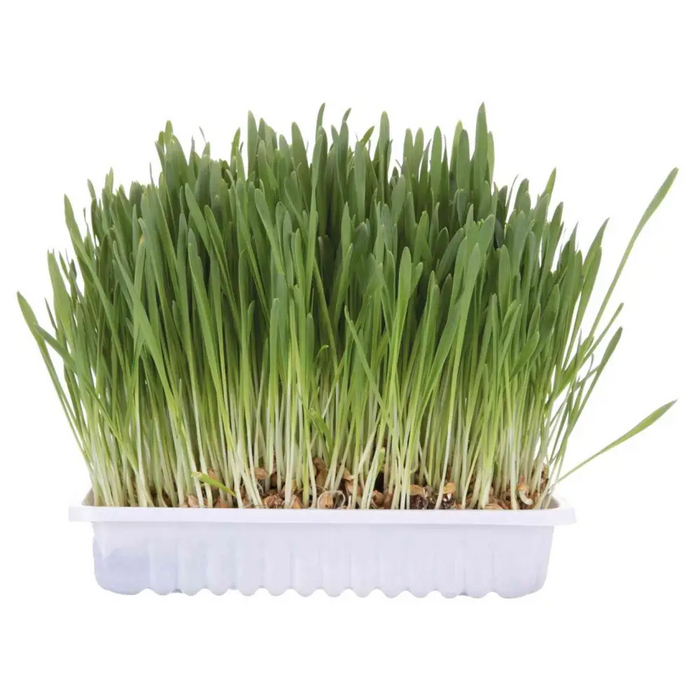 TRIXIE 4235 Лакомство за кучета/котки 100гр