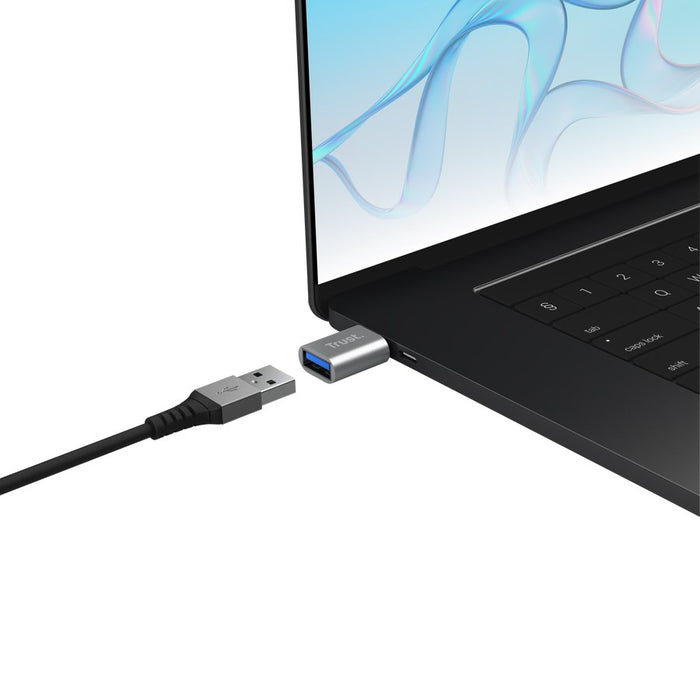 Trust 26221 USB графичен адаптер, сребрист