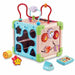 Център за дейности Vtech Baby 80-617105 Кафяв Многоцветен