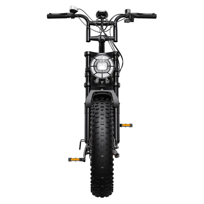 Електрически велосипед TST R9 ULTRA FAT BK С ДВЕ БАТЕРИИ 250 W, ДО 25 КМ/Ч, ПРОБЕГ ДО 190 КМ, 20.00 "