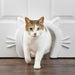 Тунел PetSafe