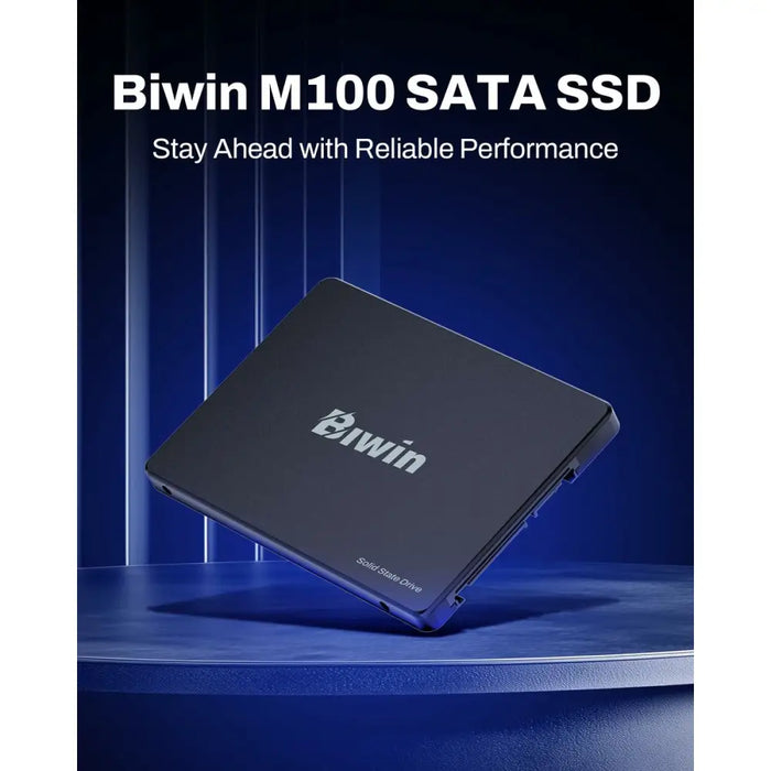 Твърд диск Biwin M100 256 GB SSD