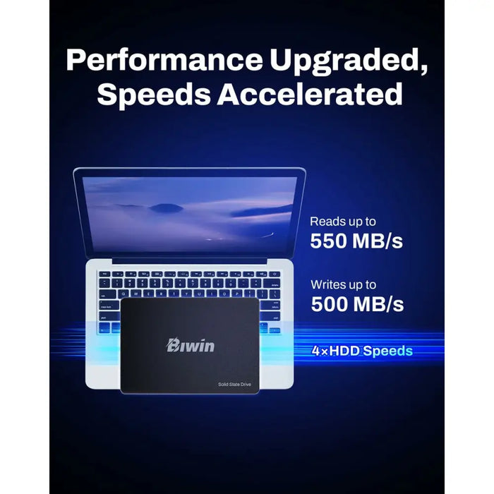 Твърд диск Biwin M100 1 TB SSD