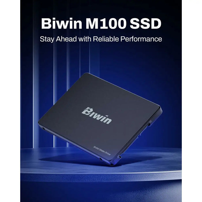 Твърд диск Biwin M100 1 TB SSD