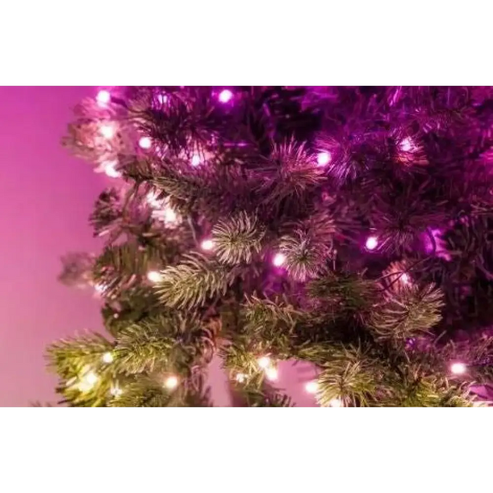 Twinkly Regal Prelit 270 LED RGB 150 см Bluetooth WIFI LED