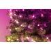 Twinkly Regal Prelit 270 LED RGB 150 см Bluetooth WIFI LED
