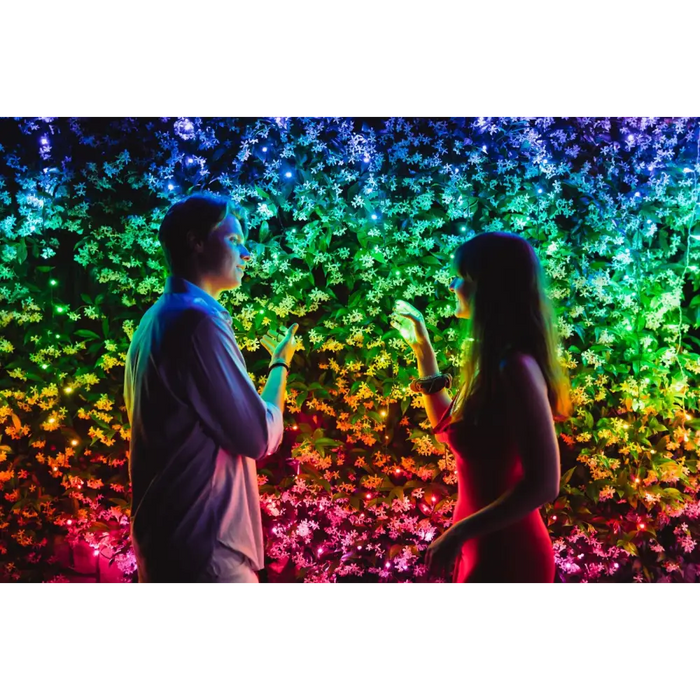 TWINKLY Strings 600 (TWS600STP-BEU) Интелигентни лампички