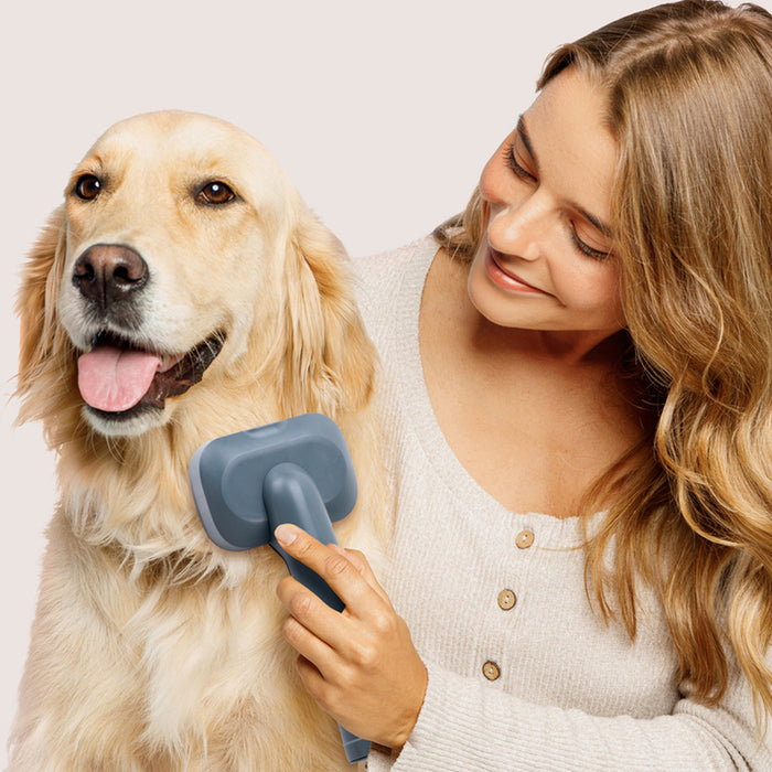 Прахосмукачка UFESA PETBUDDY