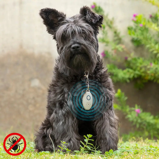 Ултразвуково антипаразитно презареждащо се устройство