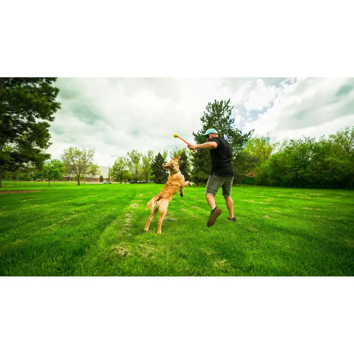 Уред за Хвърляне на Топка за Кучета Hunter