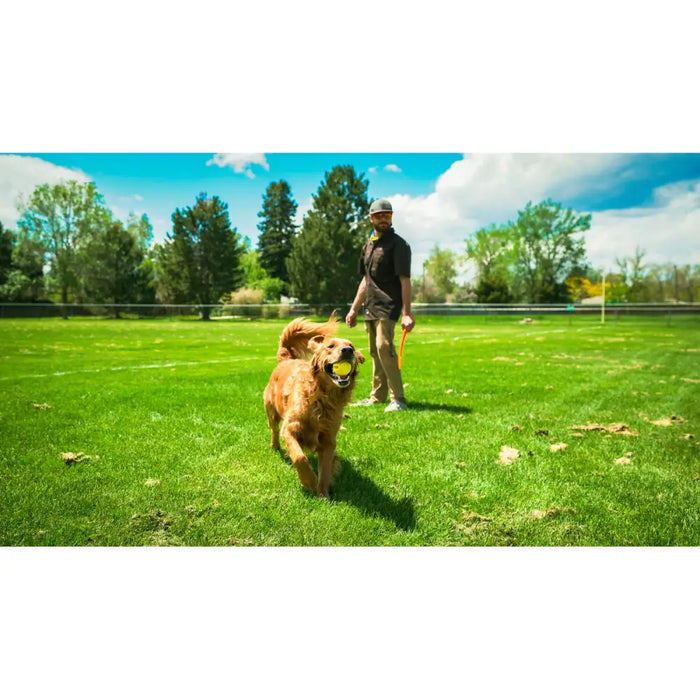 Уред за Хвърляне на Топка за Кучета Hunter