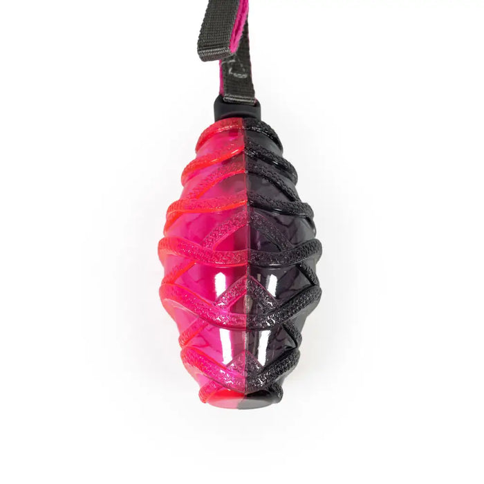 Уред за Хвърляне на Топка за Кучета Gloria