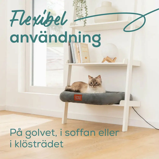 Уред за почистване под високо налягане Beurer PP250 KIRA Сив