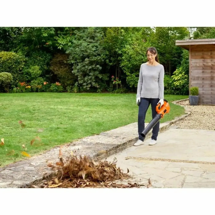 Вентилатор Black & Decker BCBL200L-QW Листи