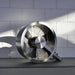 Вентилатор Q inox