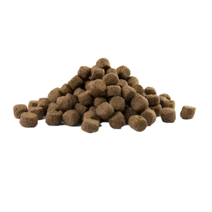 VERSELE-LAGA Opti Life Adult Digestion Medium & Maxi Lamb